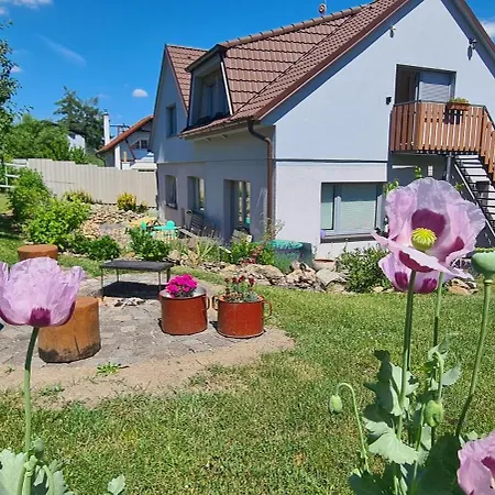 Votice Lucni Lägenhet